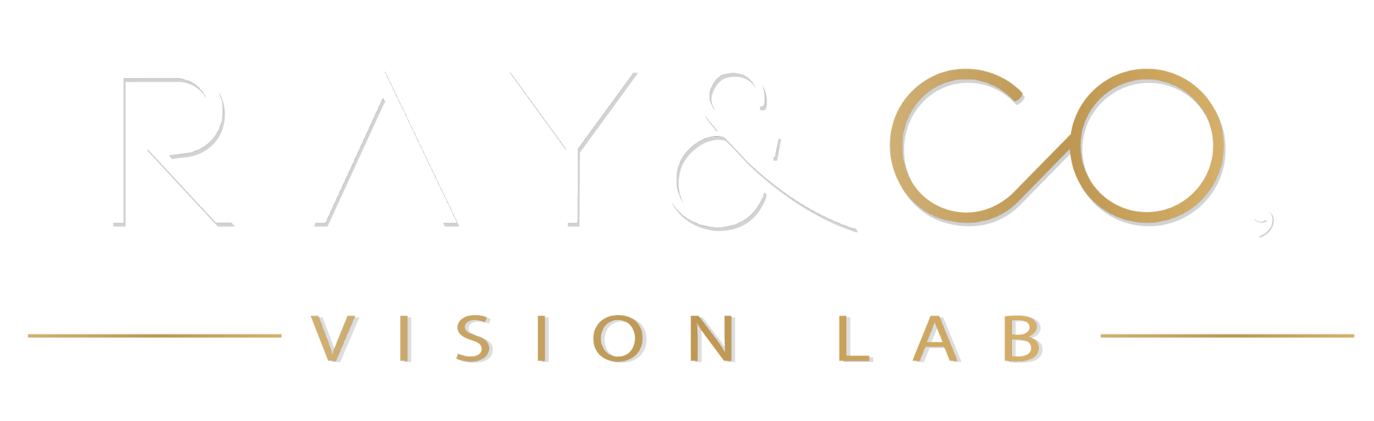 Ray & Co, Vision Lab